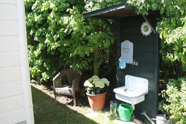 Hortensia (Hydrangea 'Endless Summer The Bride') - Afbeelding 5